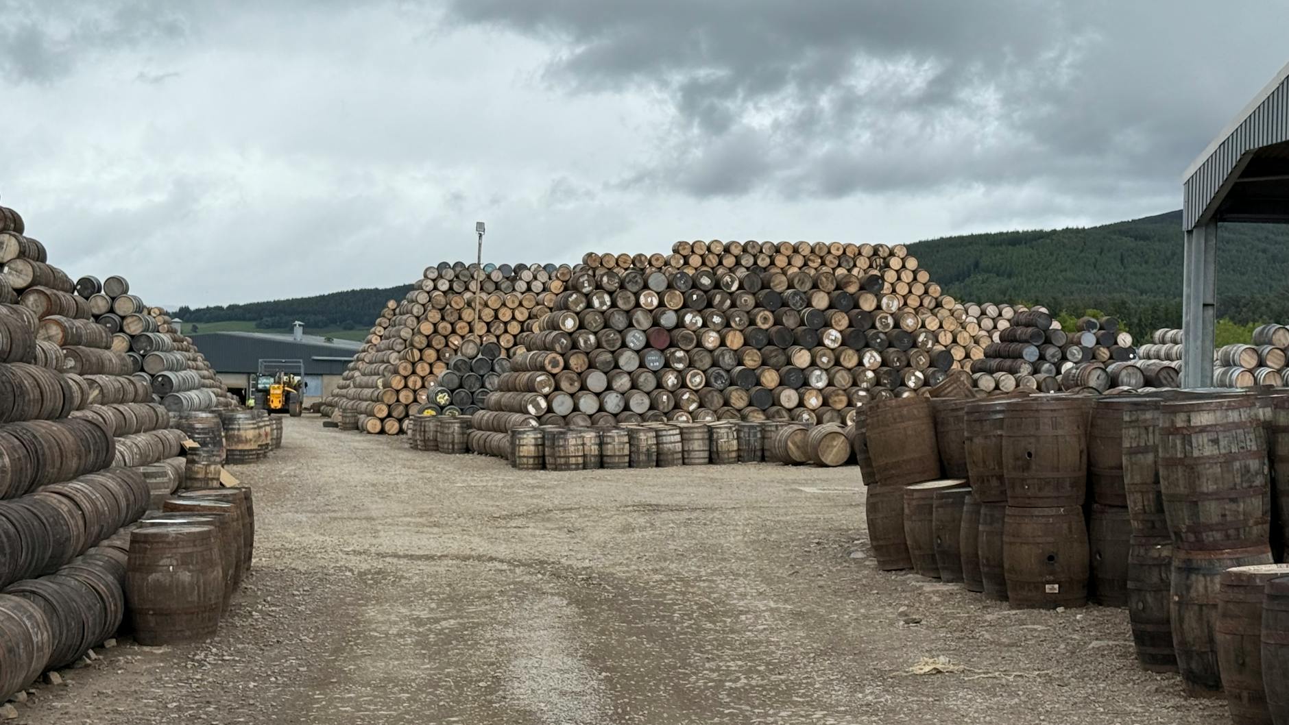 A Clear-Eyed Guide to Whisky Cask Investment Risks