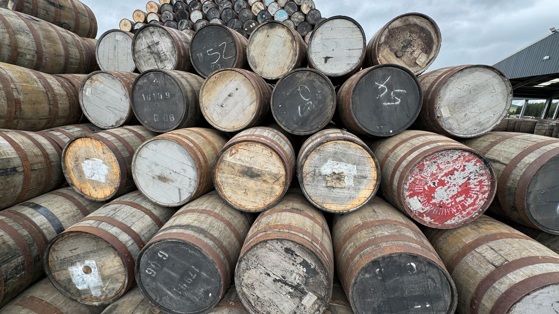Cask Stock Explained: A Guide to Valuing Whisky Investment Opportunities