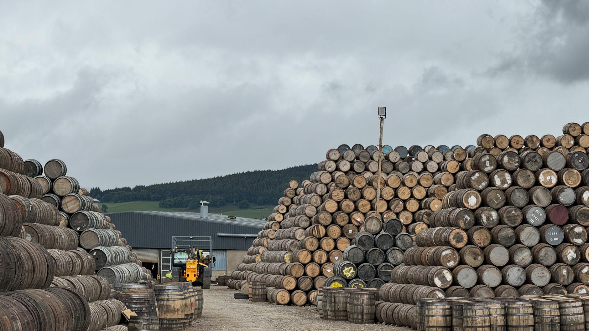What You Need to Know About Whisky Cask Investments