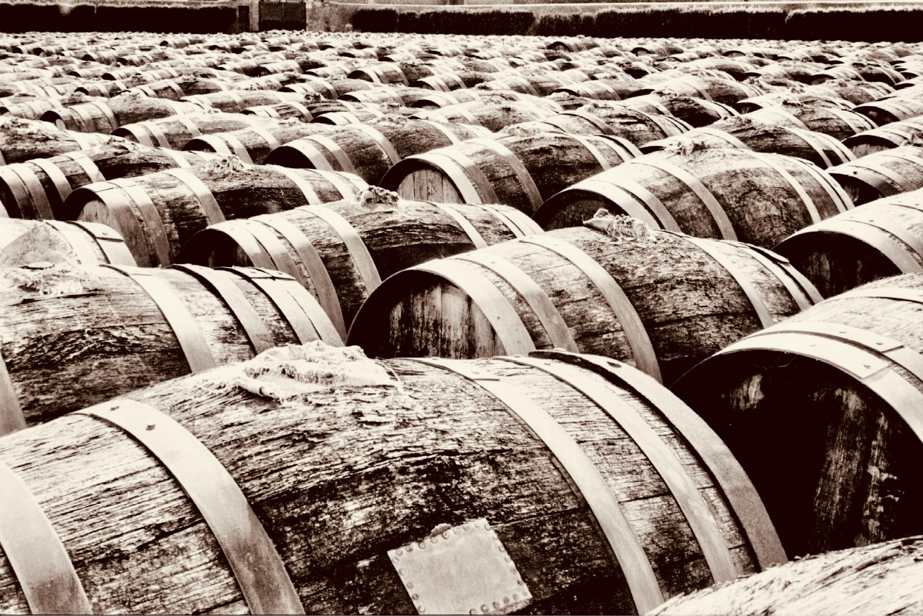 Whiskey Casks for Sale: The Ultimate Investor’s Buying Guide