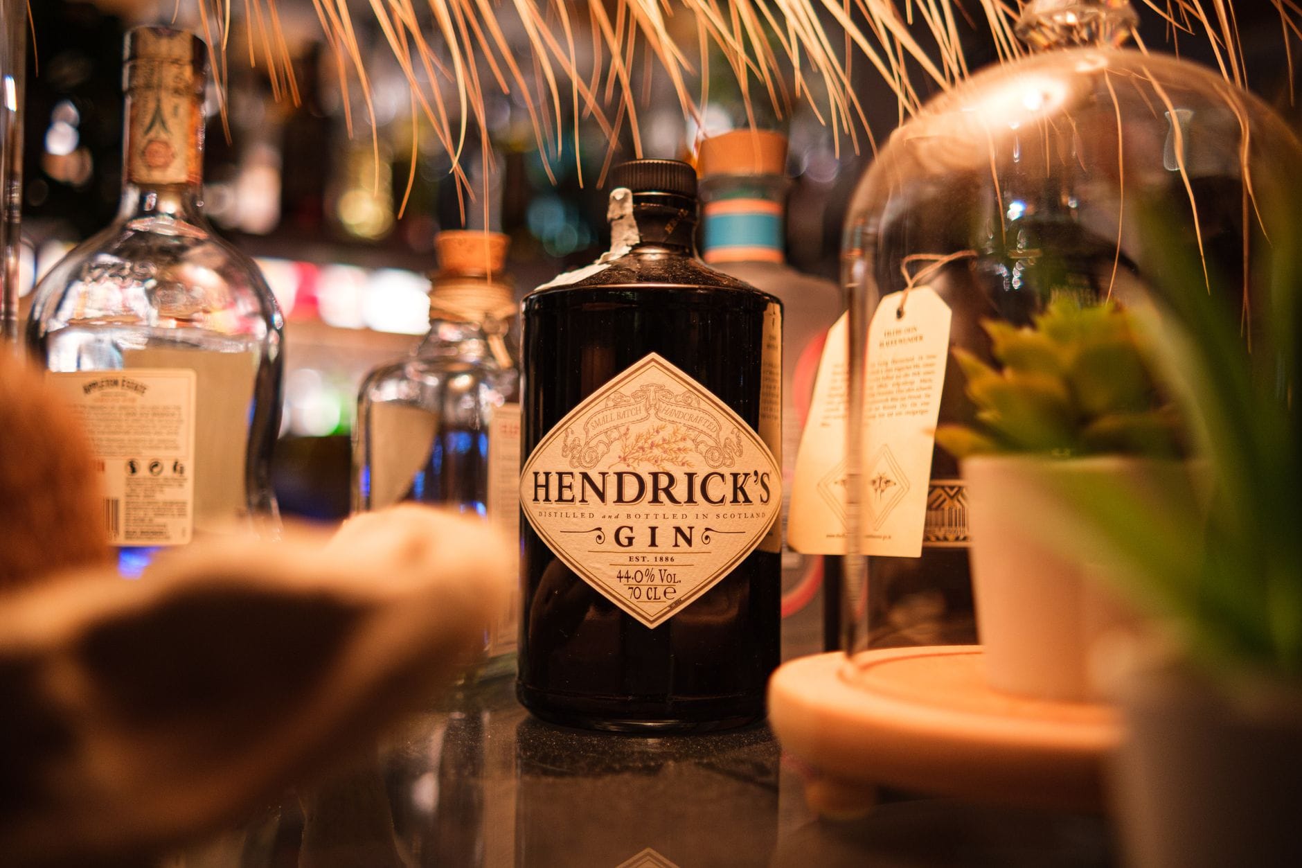English Heritage Gin Surge Signals Spirits Premiumisation Shift Beyond Whisky