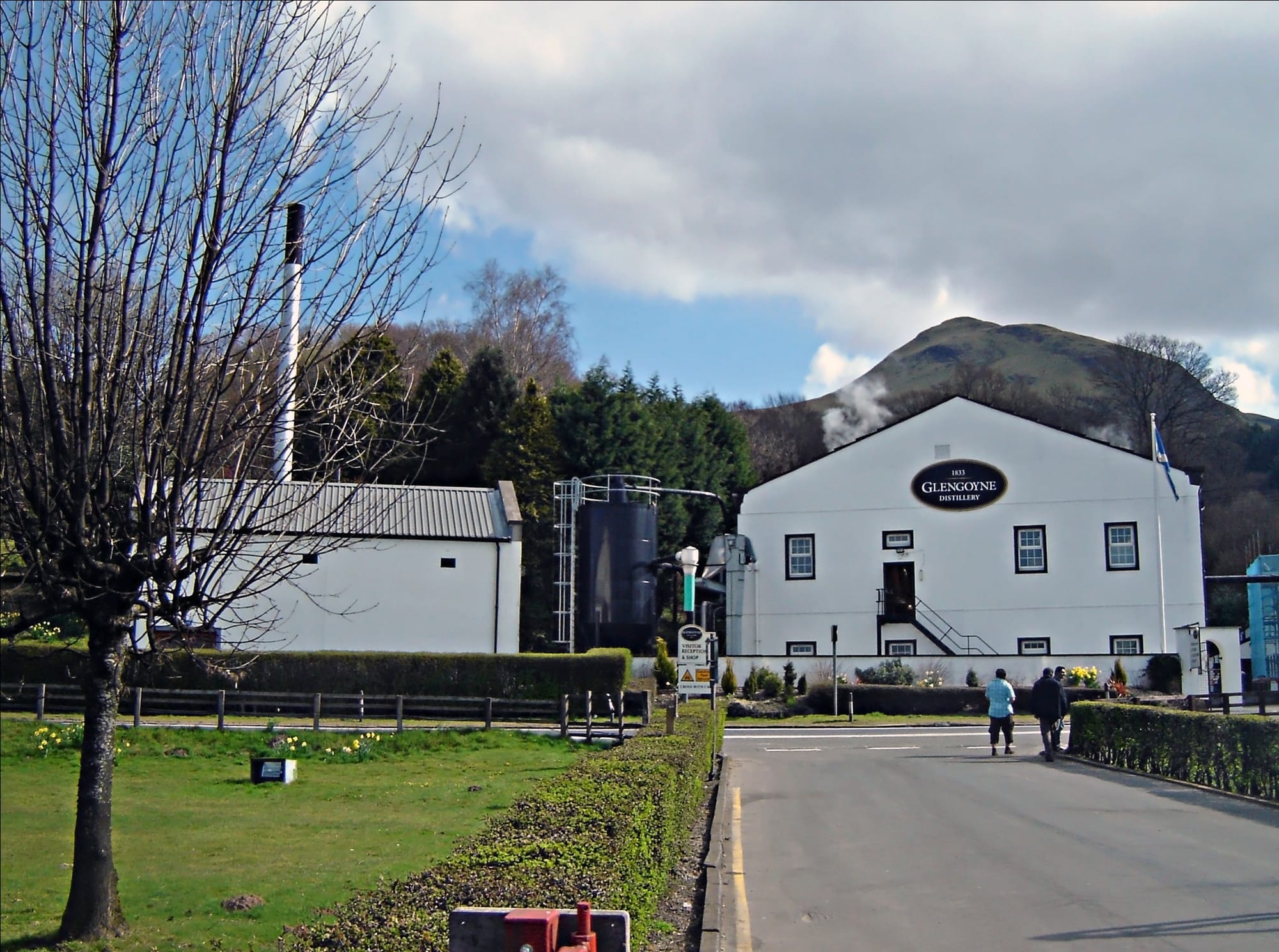 Glengoyne Mizunara Oak: Pricing the Scarcity of Japanese Wood in Scotch