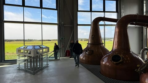 Best Irish Whisky for St. Patrick’s Day