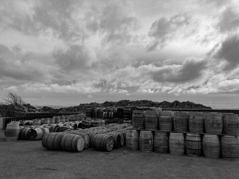The Hidden Costs of Whisky Cask Ownership: A Transparent Investor’s Guide