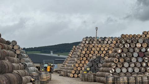 Witchmark fills 1,000th whisky cask