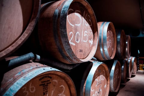 7 Best Scotch Whiskies Under $100 Backed by 2026 Awards