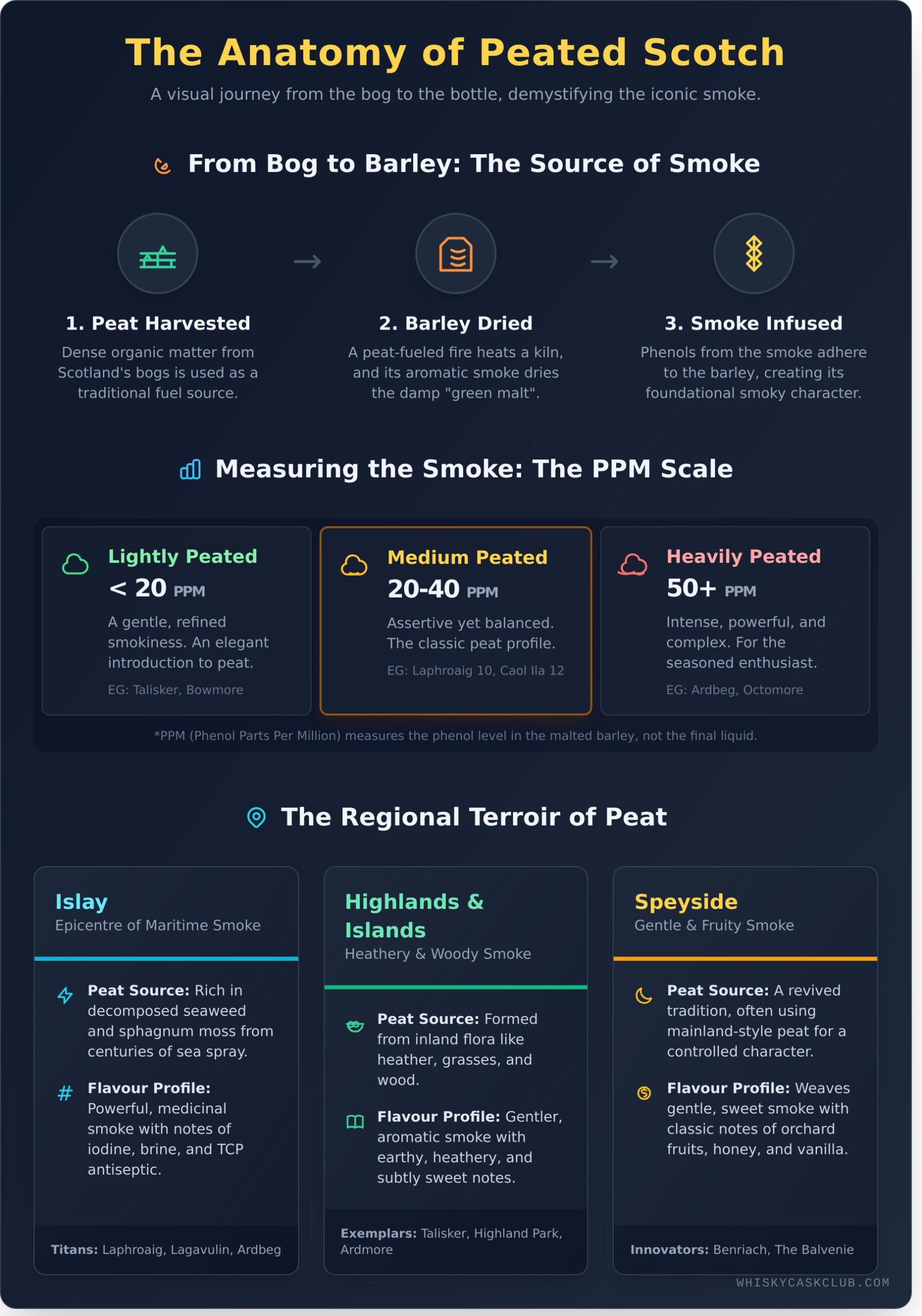 Peated Scotch: A Definitive Guide to Its Smoky Legacy - Infographic