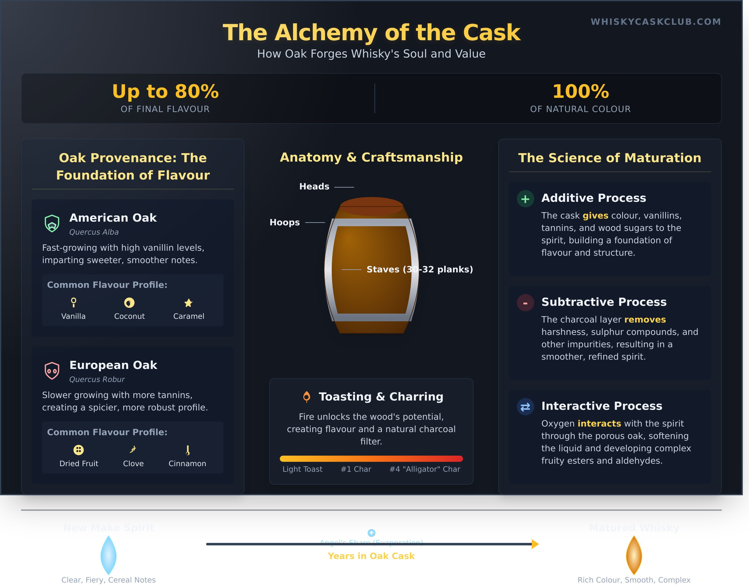 The Whisky Barrel: The Heart of Flavour, Character, and Value - Infographic